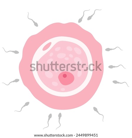 In vitro fertilization. Artificial insemination, fertilisation, Injecting sperm into egg cell. Assisted reproductive treatment