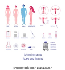 In vitro Fertilization Big Set. Egg retrieval and donation. Embryo cultivation and transfer. Surrogacy and Pregnancy. Vector illustration. 