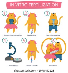 In vitro fertilization concept. Idea of infertility and problem with reproduction. Artificial pregnancy with modern technology. Insemination process. Isolated vector illustration in cartoon style