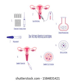 Vitro Fertilization Egg Retrieval Embryo Cultivation Stock Vector ...