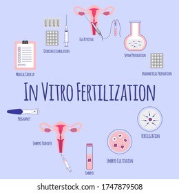 In vitro Fertilization. Egg retrieval. Ovarian stimulation and endometrial preparation. Embryo cultivation and transfer. Pregnancy. Vector illustration. 