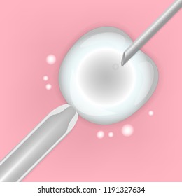 In vitro fertilization, germ cell, vector illustration eps10