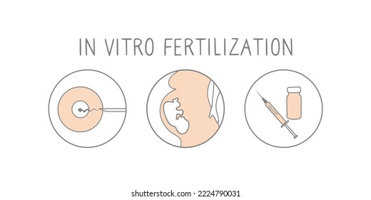 Conjunto de iconos de fertilización in vitro. Ilustración lineal simple del embarazo y la fertilidad. Signos de fertilización FIV. Vector