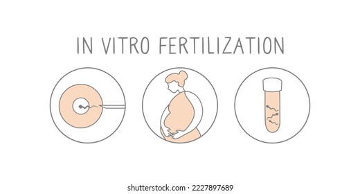 Conjunto de iconos de fertilización in vitro. Ilustración lineal simple del embarazo y la fertilidad. Signos de fertilización FIV. Vector