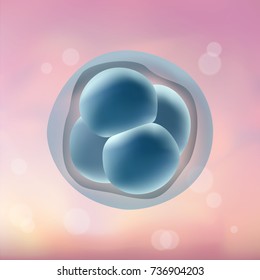 In vitro fertilization IVF. Embrio development. 4-stage cell. Illustration for web or typography magazine, brochure, flyer, poster. Blurred pink background