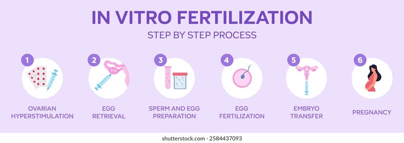 In Vitro Fertilization Step by Step Process Infographic on Purple Background