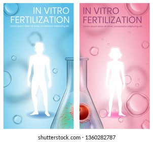 In Vitro Fertilization Vertical Banner Set, Copy Space. Abstract Faceless Male and Female White Silhouettes. Fertilized Egg in Beaker. Blue and Pink Background. Medical Vector Realistic Illustration
