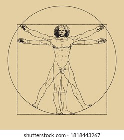 Vitruvian Man drawing by Leonardo da Vici. Clean vector illustration of famous drawing. Vintage scheme of proportions of human body.