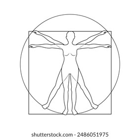 Vitruvian man. Outline of a female figure in a circle. Body proportions vector graphic illustration