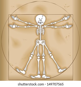 Vitruvian Man Skeleton Cartoon 