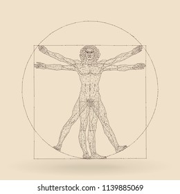 The Viturvial Man - Wire Concept