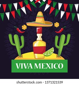 Viva mexico card cartoons