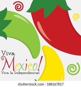 Viva Mexico card in vector format.