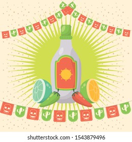 viva mexico celebration with tequila bottle vector illustration design