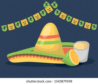viva mexico celebration with traditional hat vector illustration design