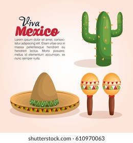 viva mexico poster icon