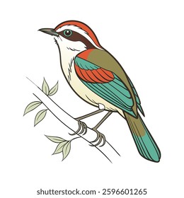 Vivid Asian Stubtail Bird Design. Concept of Bird Design.