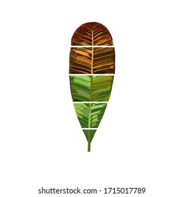 vivid colorful autumn leaves isolated on white background. Illustration.