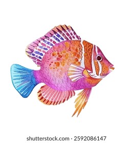 Vivid colors fish vector illustration isolated on white background. Blue pink orange carp fish with short tail and nice fins. Marine or river water animal.