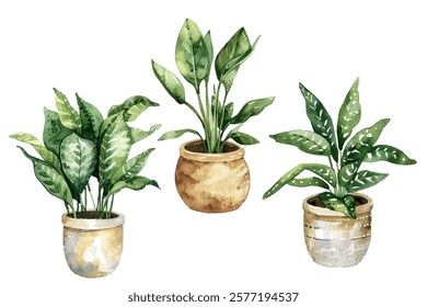 Vivid green watercolor houseplants vector collection. Indor plants in pots drawing set.