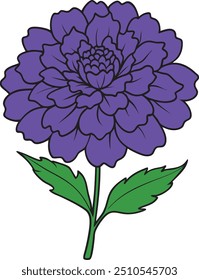 Ilustração vívida do vetor de flor de calêndula