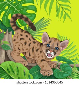 Vivid summer background with tropical plants and young cougar. Funny angry puma cub sitting on liana branch. Space for text. Vector flat illustration.