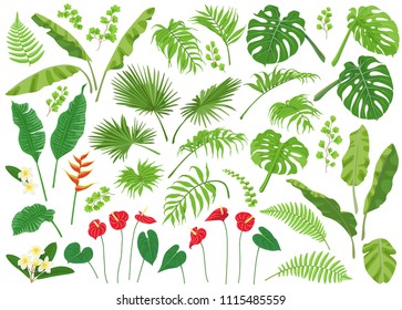 Vivid tropical flowers and green leaves isolated on white background. Tropic plant big set.  Vector flat illustration. 