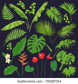 Vivid tropical flowers and leaves isolated on dark background. Tropic plant set.  Vector flat illustration. 