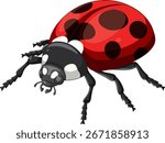 Vivid vector illustration of a realistic ladybug with detailed red and black textures, isolated.