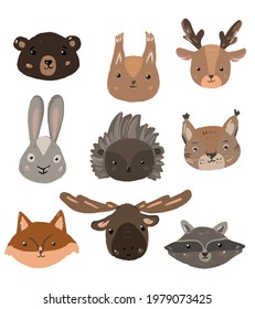 Vivid Vector illustrations of forest animals will decorate any project