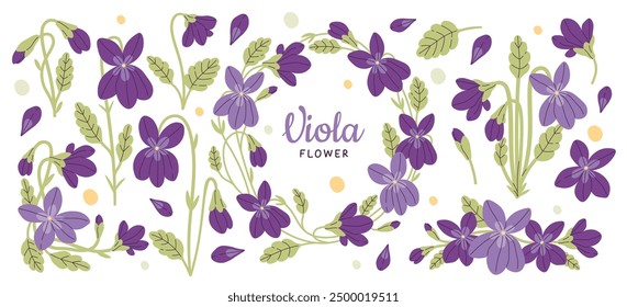 Vivid viola flower plant with blossoms and green leaves, floral wreath and seasonal decoration set. Spring garden purple wildflower bloom natural beauty set vector illustration. Nature and environment