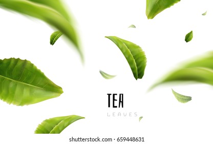 vividly flying green tea leaves, white background 3d illustration
