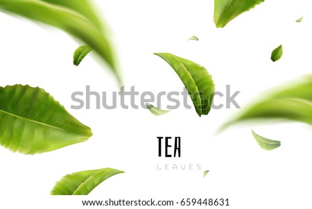vividly flying green tea leaves, white background 3d illustration