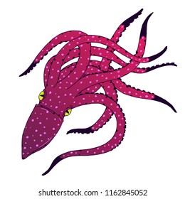 Vivivd Squid hand drawn sketch illustration. Ink outline drawing with marine animal, sea life illustration
