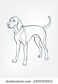Vizsla dog breed animal vector line art one line sketch outline