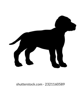 Vizsla Dog puppies silhouette. Baby dog silhouette. Puppy