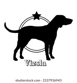 Vizsla dog silhouette,  dog, dog breeds, logo, vector, silhouette, logo design, animal, illustration, icon, sign, design, black,  symbol, pet