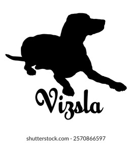 Vizsla dog silhouette, dog breeds, logo, vector, silhouette,  animal, illustration, icon, sign, design, black, symbol, pet, love
