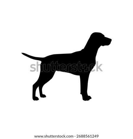 Vizsla dog silhouette vector flat illustration design.