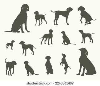 Vizsla dog silhouettes, Vizsla dog silhouette set
0