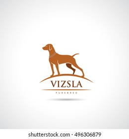 Vizsla dog symbol - vector illustration