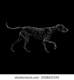 vizsla hand drawing vector isolated on black background.