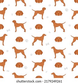 Vizsla shorthaired seamless pattern. Different poses, coat colors set.  Vector illustration