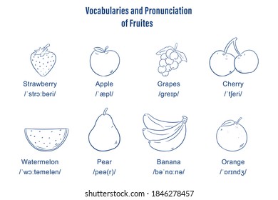 vocabularies and pronunciation of fruits vector illustration