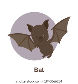 Vocabulary Flash Card for kids. Bat with picture of bat (Vocabulary for CEFR : A1-A2 Level)