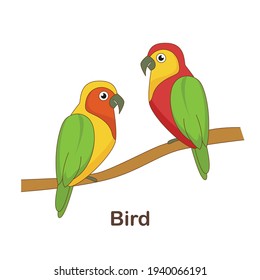 Vocabulary Flash Card for kids. Bird with picture of bird (Vocabulary for CEFR : A1-A2 Level)