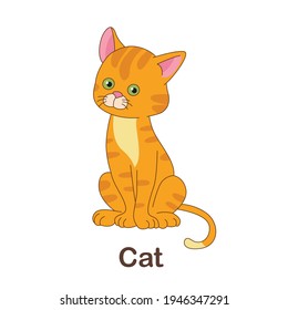 Tarjeta Vocabularia Flash para niños. gato con foto de gato (Vocabulario para CEFR: Nivel A1-A2)