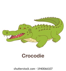 Vocabulary Flash Card for kids. crocodie with picture of crocodie (Vocabulary for CEFR : A1-A2 Level)