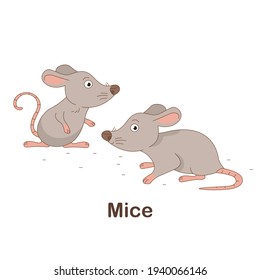 Vocabulary Flash Card for kids. Mice with picture of Mice (Vocabulary for CEFR : A1-A2 Level)