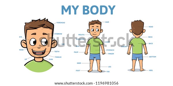Vocabulary for\
parts of male body. Cartoon boy body with description. Colorful\
flat vector illustration,\
horizontal.